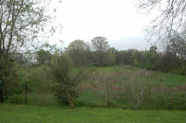 4993 Smiley Road Chapel Hill, TN 37034 - Photo 4 of 15 Gallery Image 4