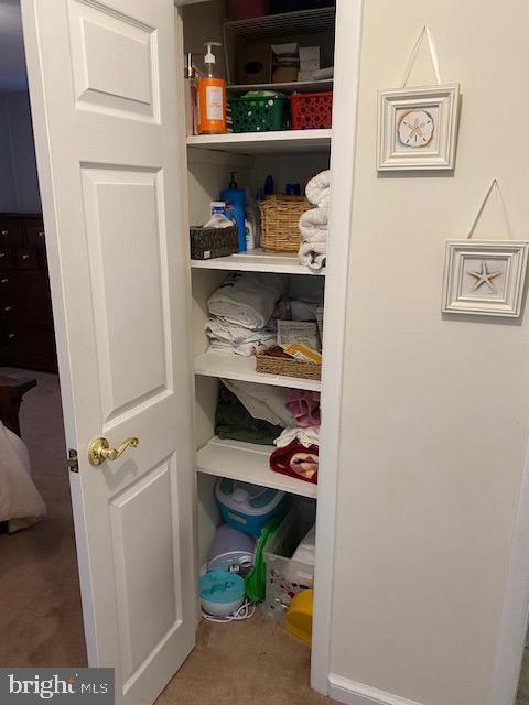 2810 Kentner Road Hatboro, PA 19040 - Photo 8 of 50 Hallway linen closet.