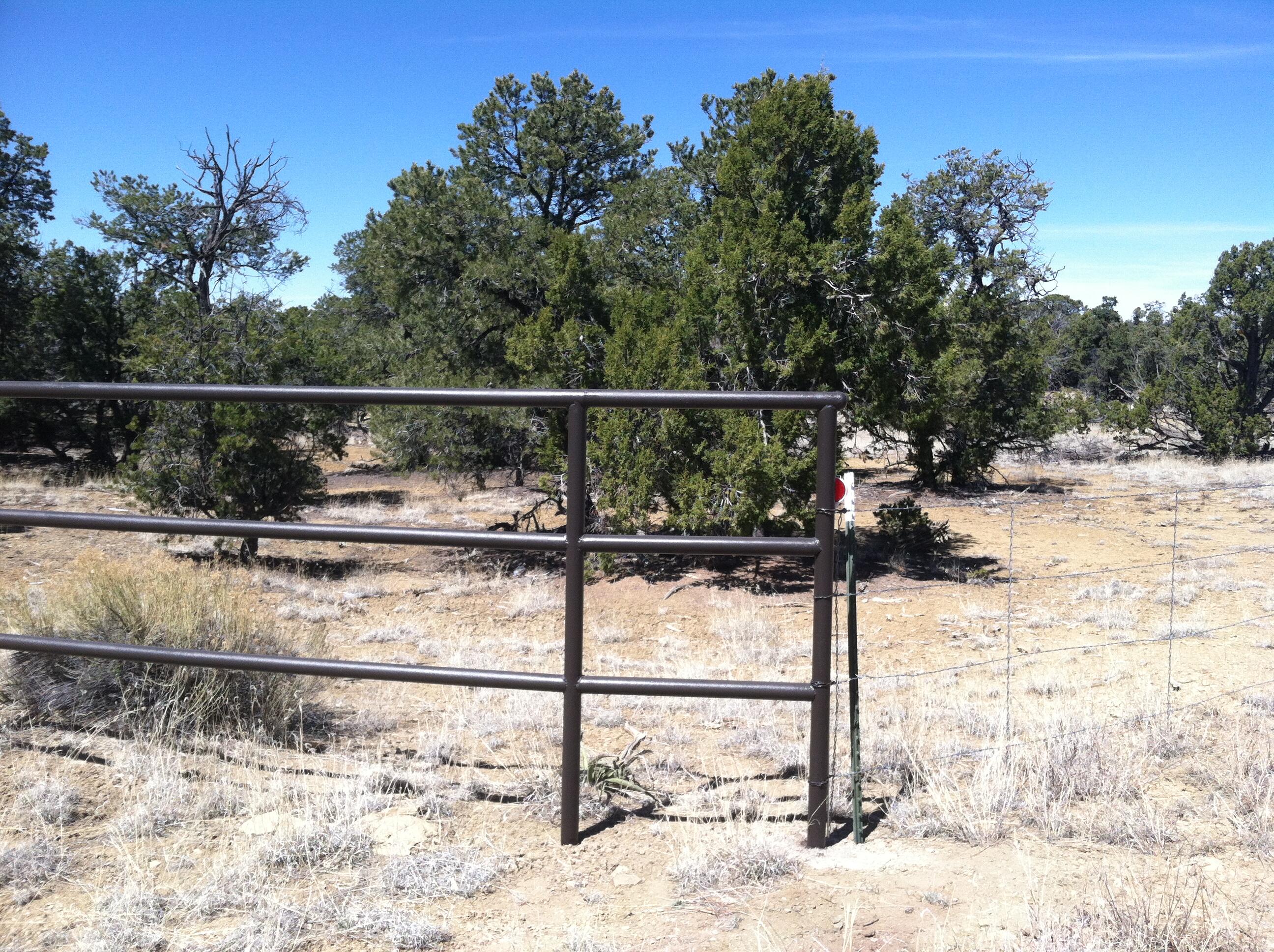 56 Wild Horse Ranch Road Pie Town, NM 87827 - Photo 1 of 1 Gallery Image 1