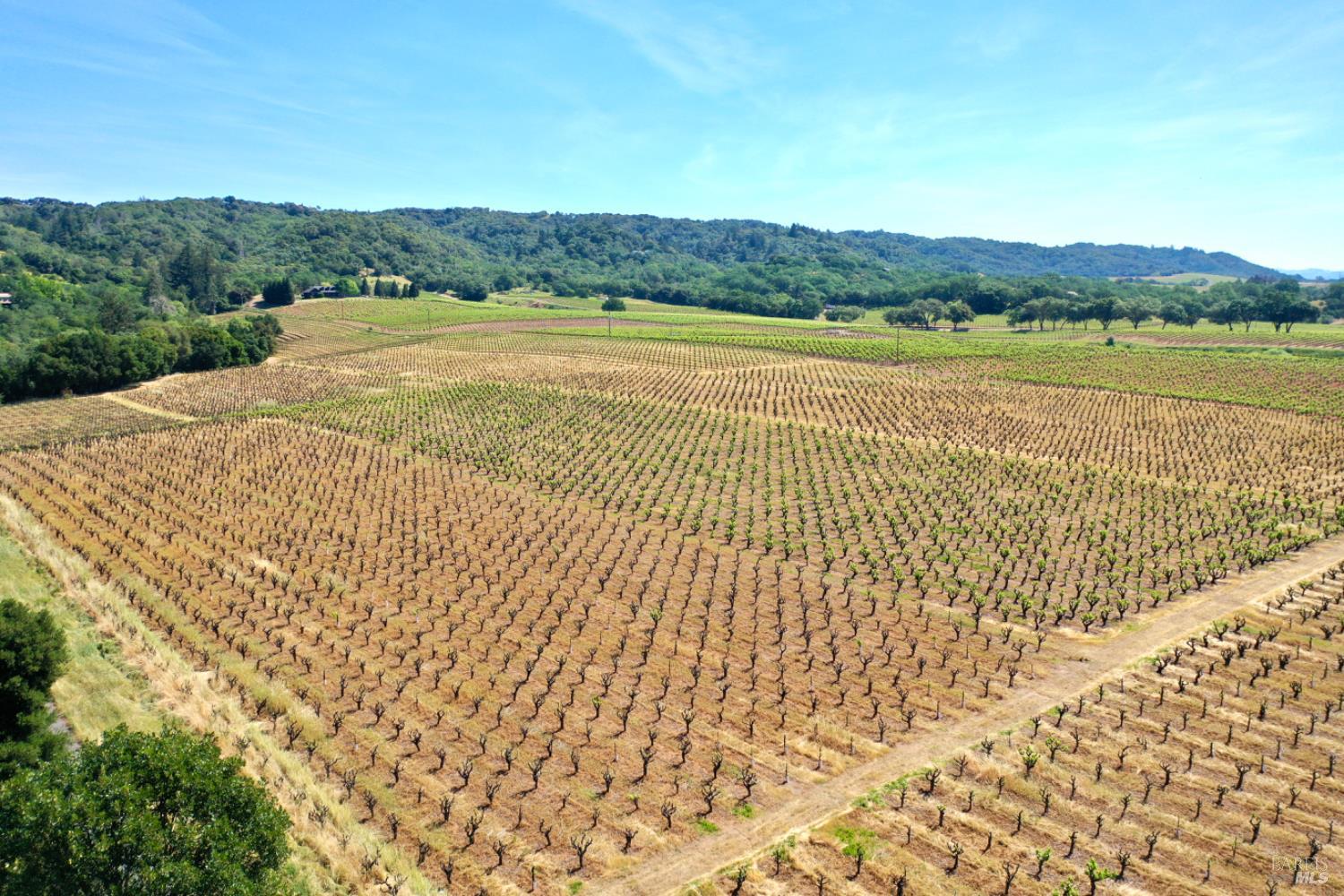 5143 Dry Creek Road Healdsburg, CA 95448 - Photo 58 of 85