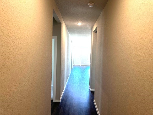 21723 Springhill Grove Lane Waller, TX 77484 - Photo 3 of 11