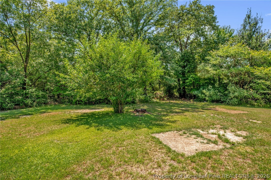 157 Flat Rock Road Aberdeen, NC 28315 - Photo 35 of 36 Gallery Image 35