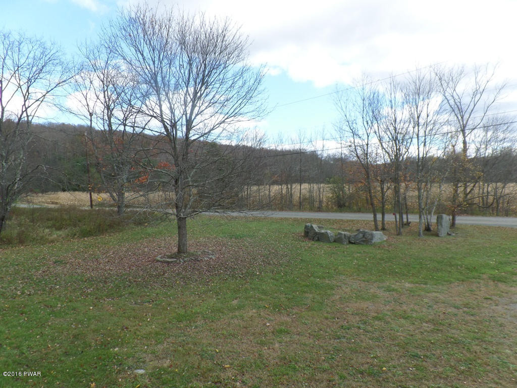 136 Sawmill Road Greentown, PA 18426 - Photo 29 of 40 Front Yard