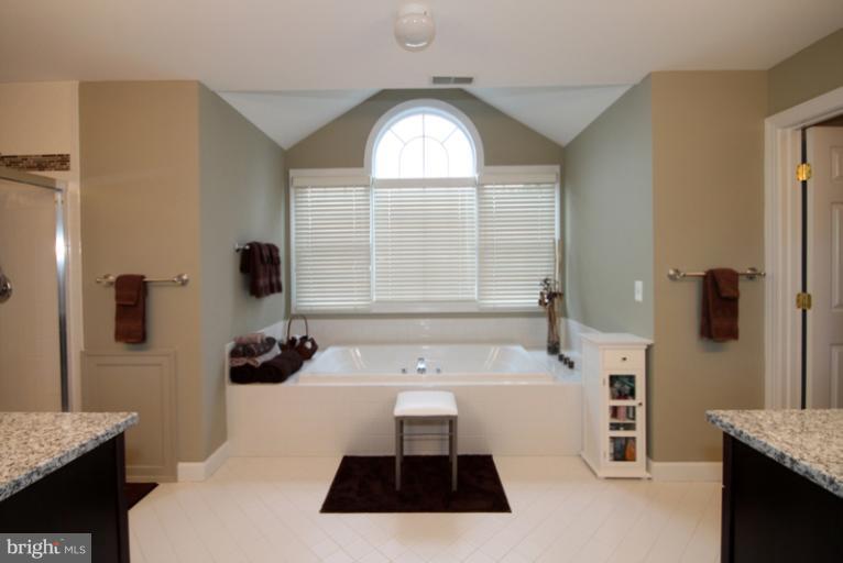 9382 Colbert Court Fairfax, VA 22032 - Photo 19 of 30 Bath (Master)