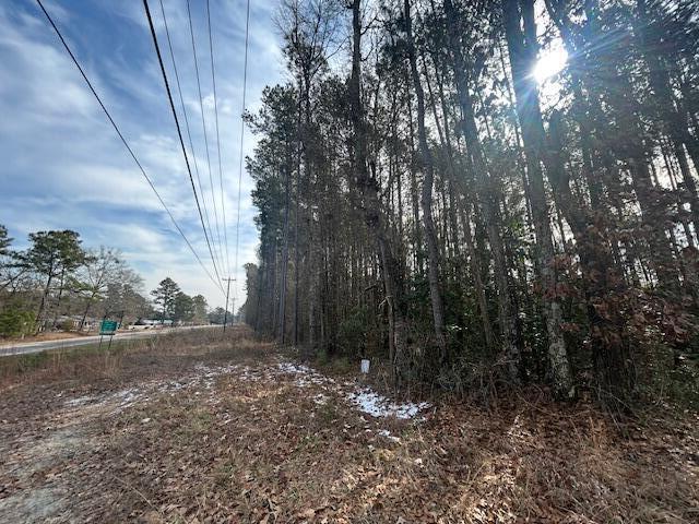 4020 Jefferies Highway Walterboro, SC 29488 - Photo 4 of 4 4020jefferiesside