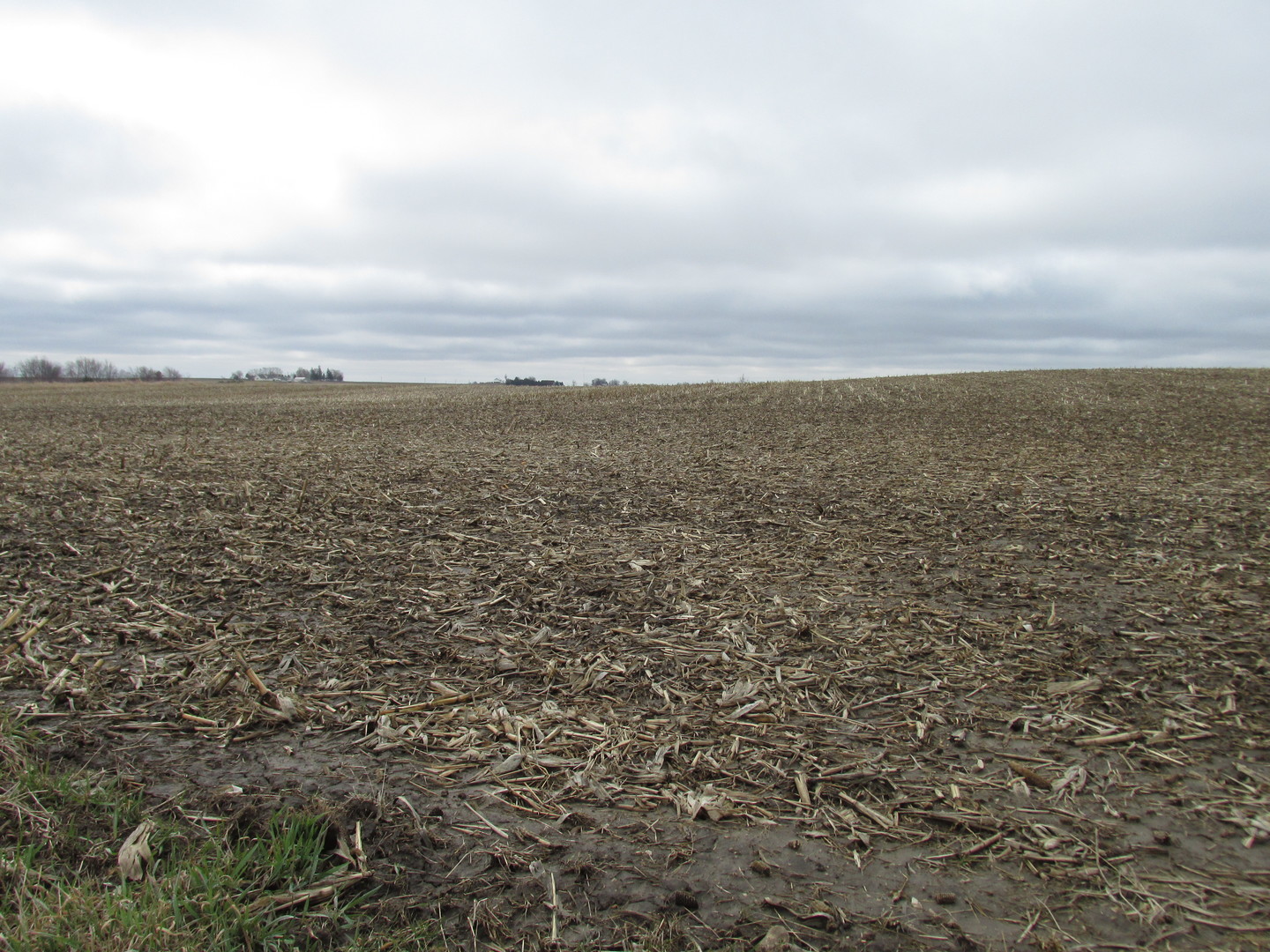 0 Chicago Road Paw Paw, IL 61353 - Photo 1 of 9