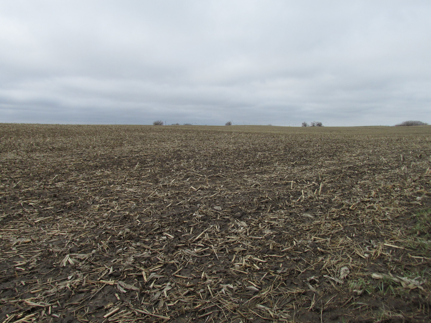0 Chicago Road Paw Paw, IL 61353 - Photo 4 of 9