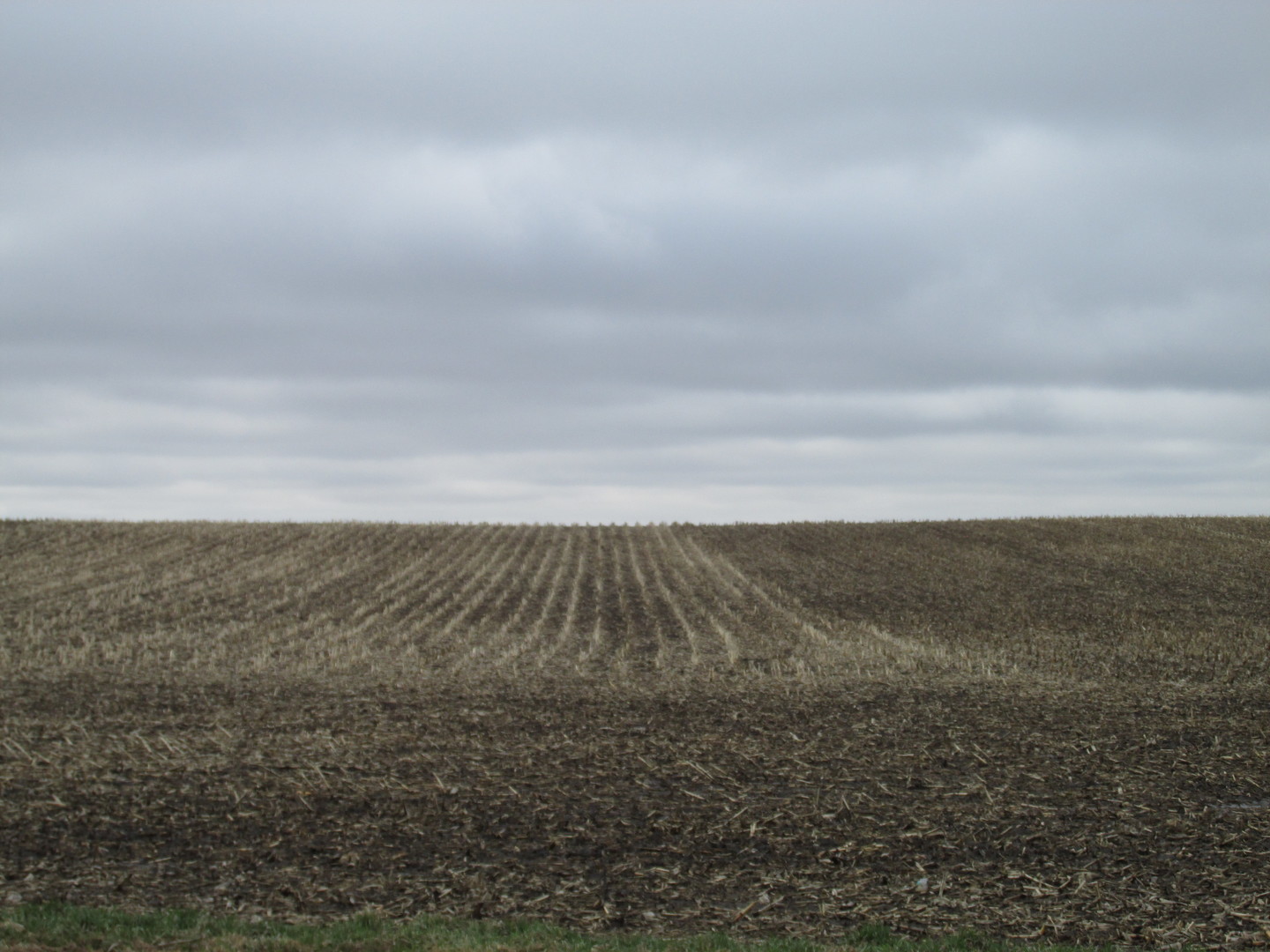 0 Chicago Road Paw Paw, IL 61353 - Photo 5 of 9
