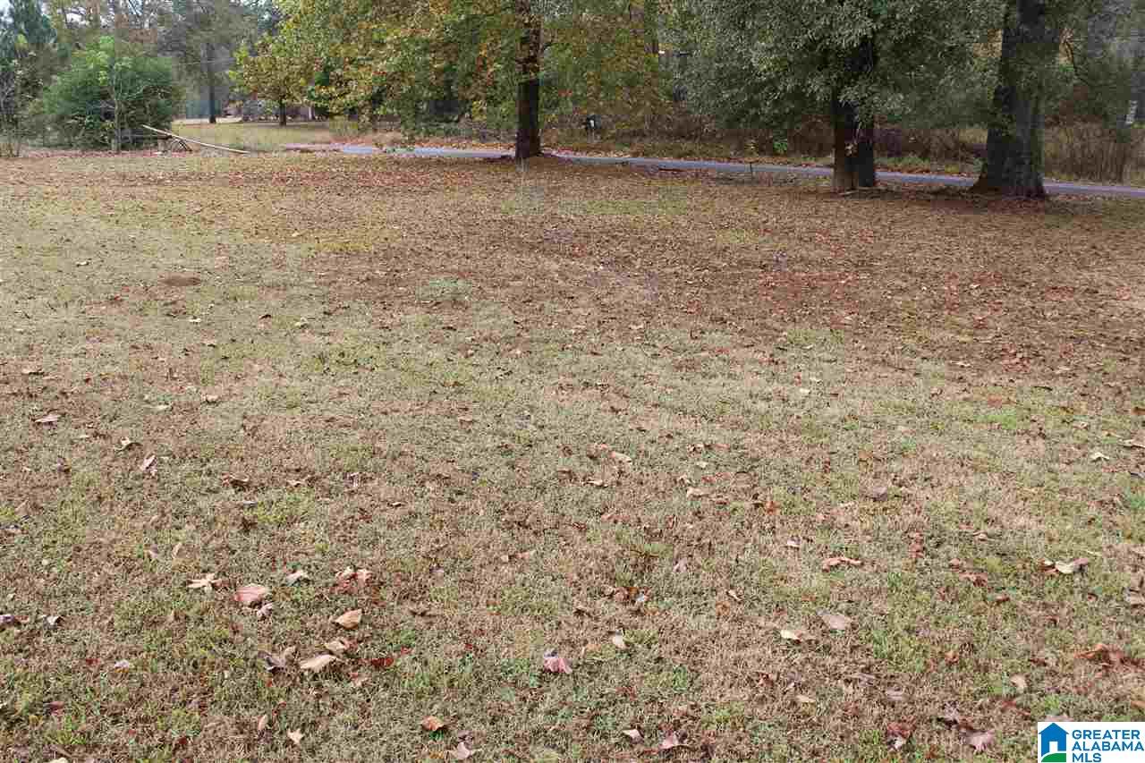 3869 Alexander Road Quinton, AL 35130 - Photo 35 of 36 Gallery Image 35