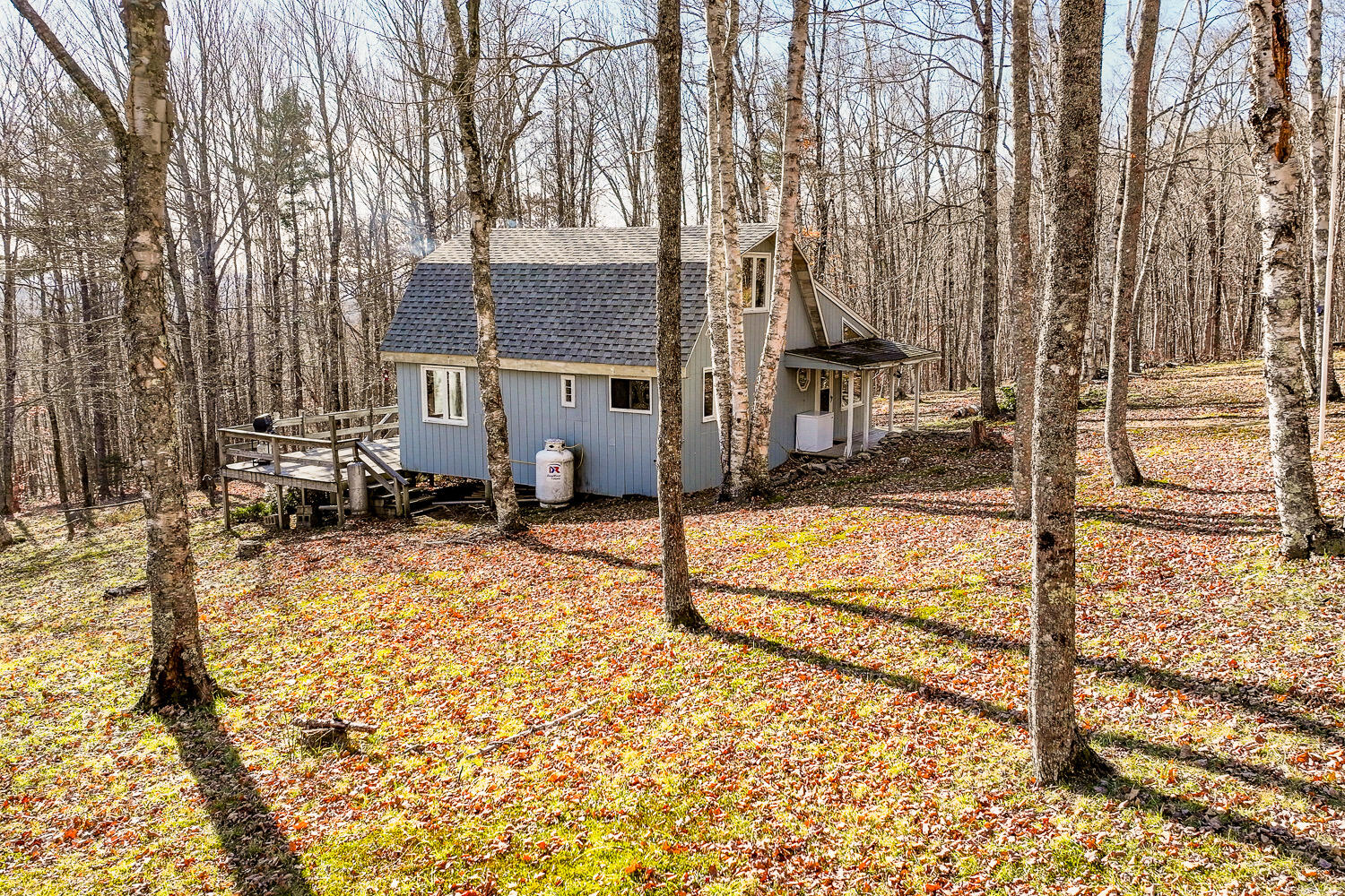 60 Bickford Road Dixmont, ME 04932 - Photo 8 of 40 IMG_7355