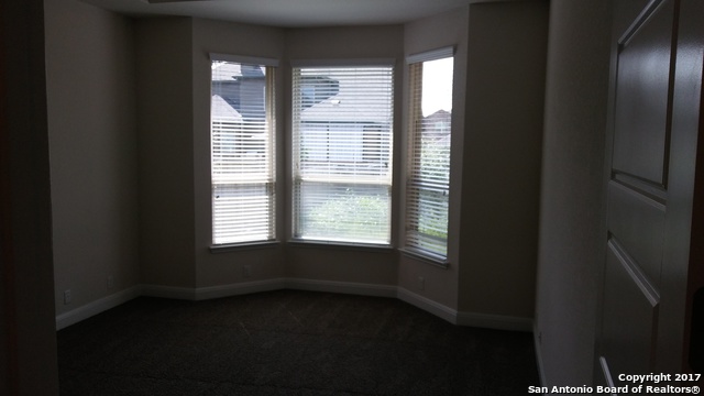 8310 Dianthus Stead Boerne, TX 78015 - Photo 13 of 21