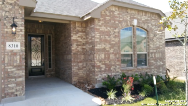 8310 Dianthus Stead Boerne, TX 78015 - Photo 2 of 21