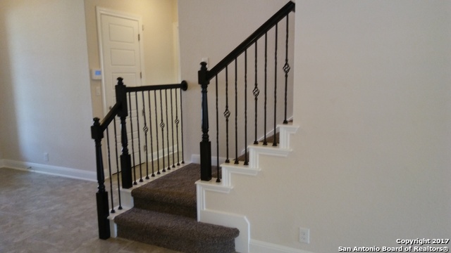 8310 Dianthus Stead Boerne, TX 78015 - Photo 6 of 21