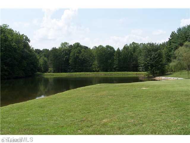 6102 Pintail Court Oak Ridge, NC 27310 - Photo 4 of 16 View. Gorgeous pond offering stunning views throughout the year.