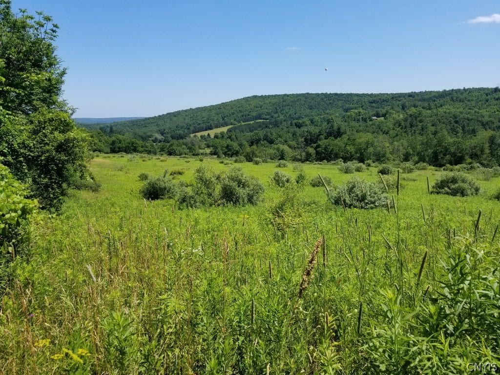 0 Hamilton Valley Road Lockwood, NY 14859 - Photo 1 of 1 Gallery Image 1