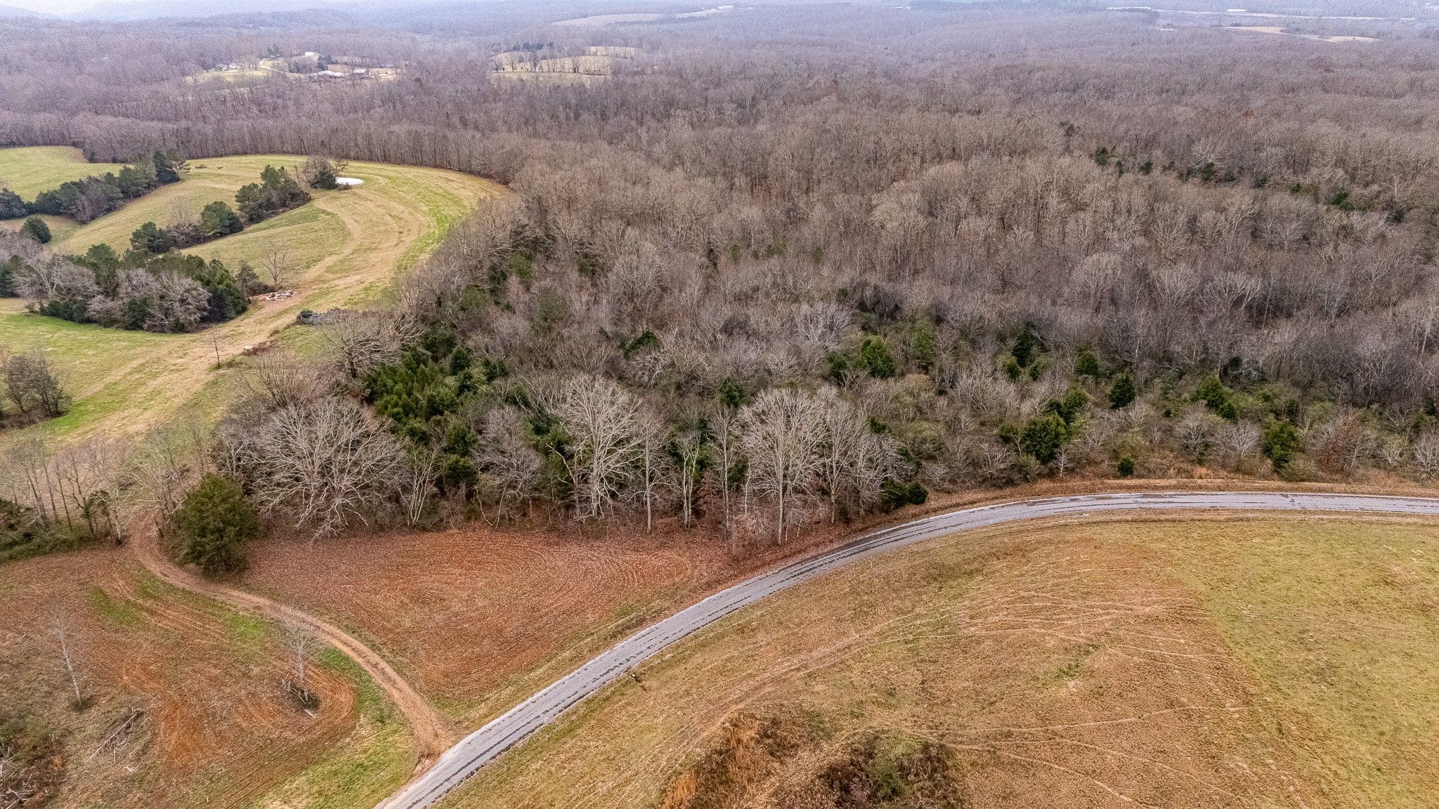 0 Waterloo Road Westpoint, TN 38486 - Photo 14 of 27