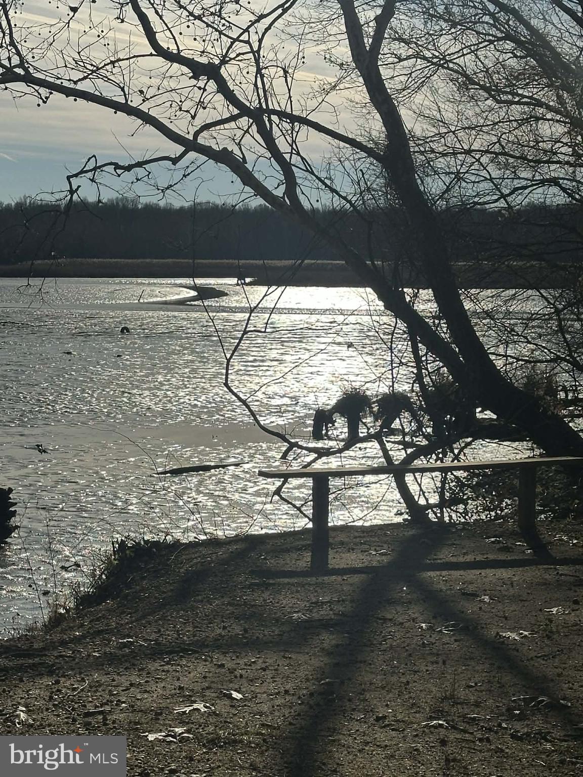 6 Lansdown Court Elkton, MD 21921 - Photo 24 of 35