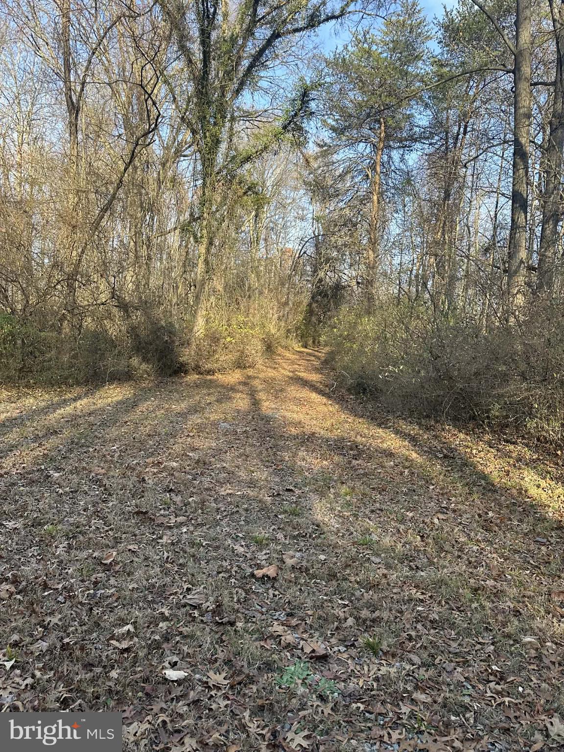 6 Lansdown Court Elkton, MD 21921 - Photo 25 of 35