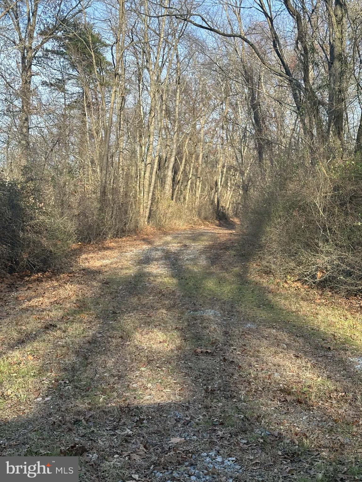6 Lansdown Court Elkton, MD 21921 - Photo 27 of 35 Hike, explore!