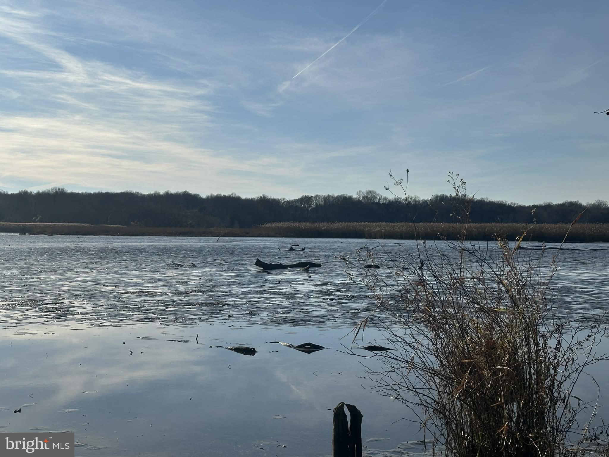 6 Lansdown Court Elkton, MD 21921 - Photo 32 of 35