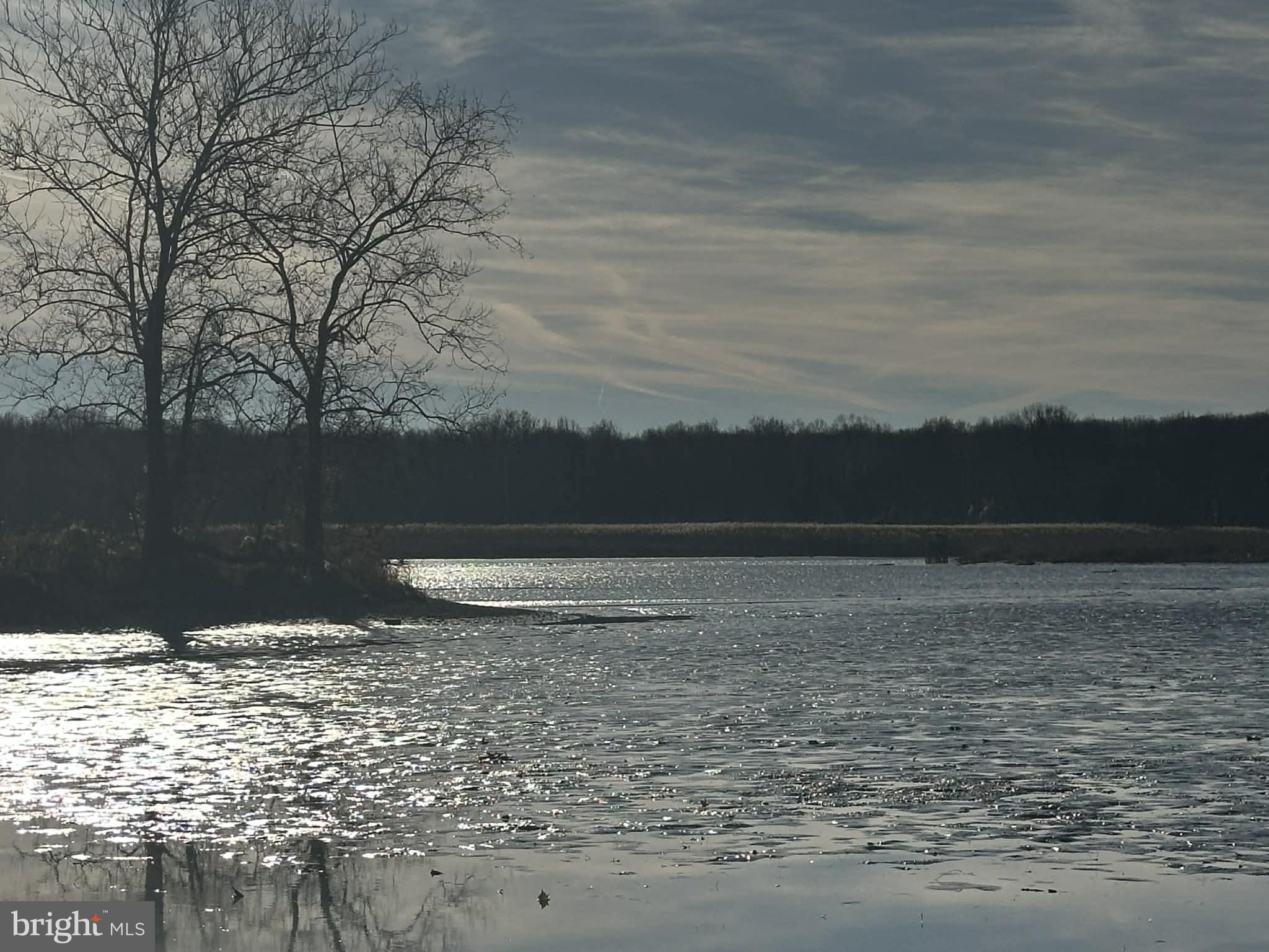 6 Lansdown Court Elkton, MD 21921 - Photo 33 of 35