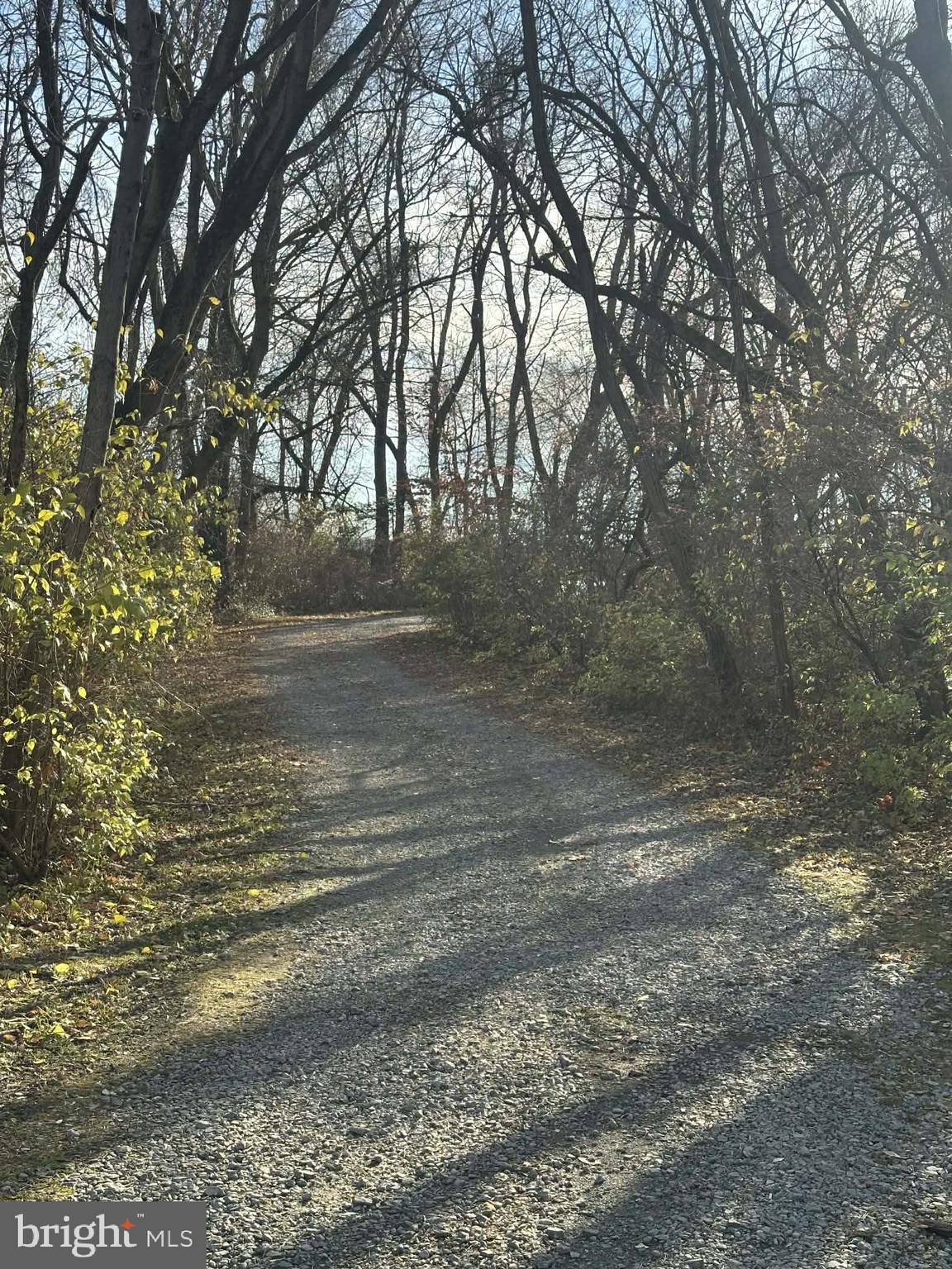 6 Lansdown Court Elkton, MD 21921 - Photo 35 of 35 Multiple trails along the water to explore!