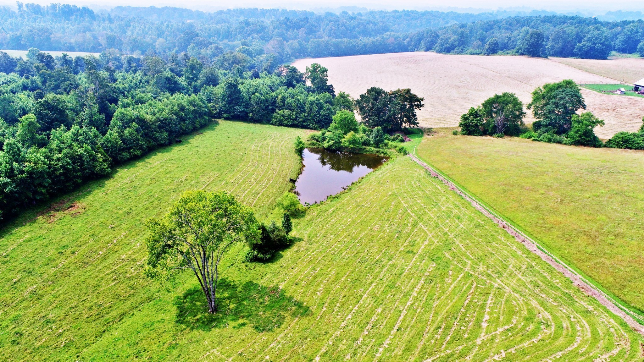 4 Celina Road Red Boiling Springs, TN 37150 - Photo 13 of 16 a view of a backyard