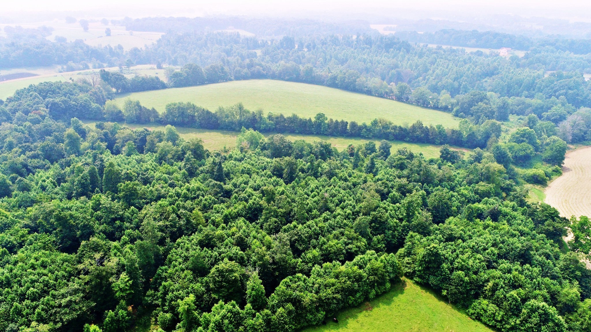 4 Celina Road Red Boiling Springs, TN 37150 - Photo 14 of 16