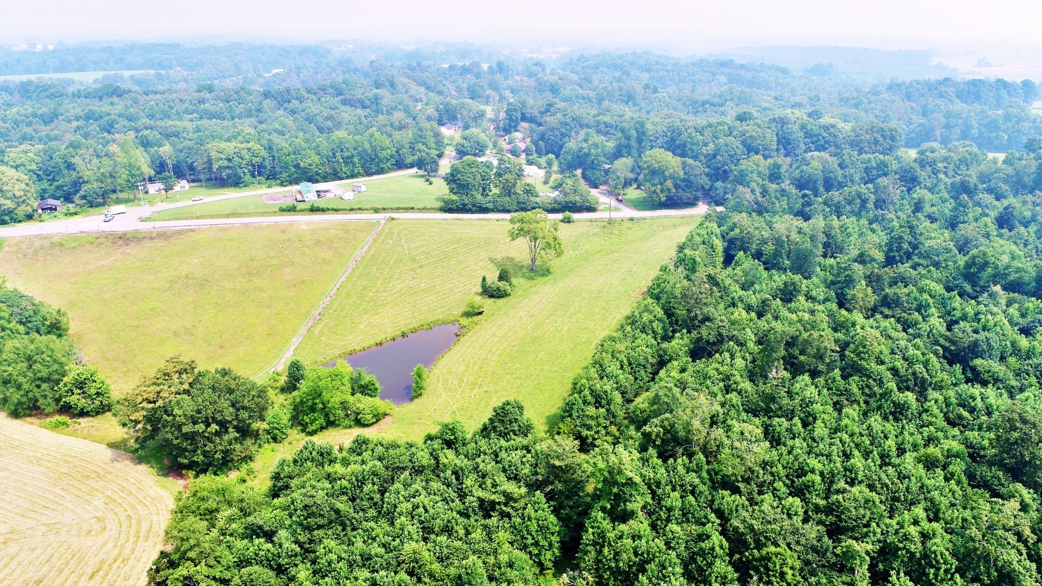 4 Celina Road Red Boiling Springs, TN 37150 - Photo 15 of 16 a view of a forest with a yard