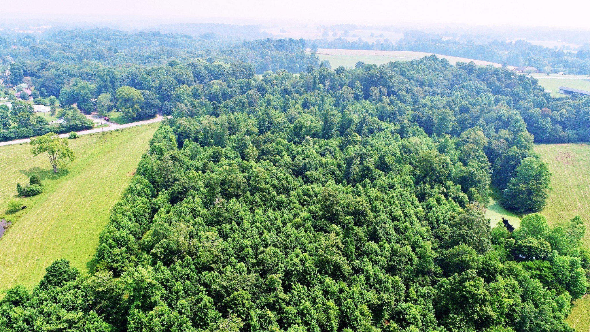 4 Celina Road Red Boiling Springs, TN 37150 - Photo 16 of 16 a view of a city with lush green forest