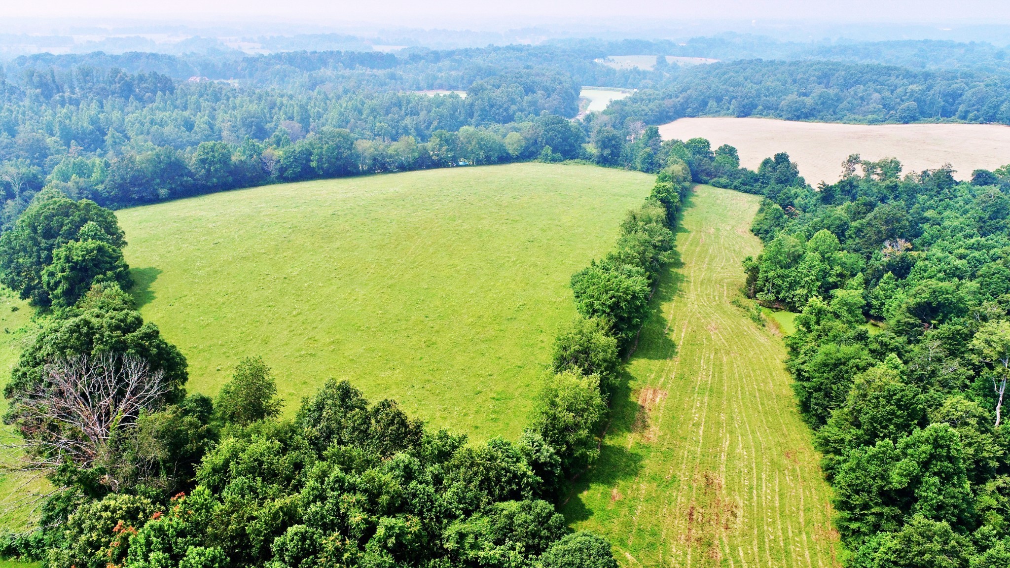 4 Celina Road Red Boiling Springs, TN 37150 - Photo 2 of 16 a view of a yard with a swimming pool