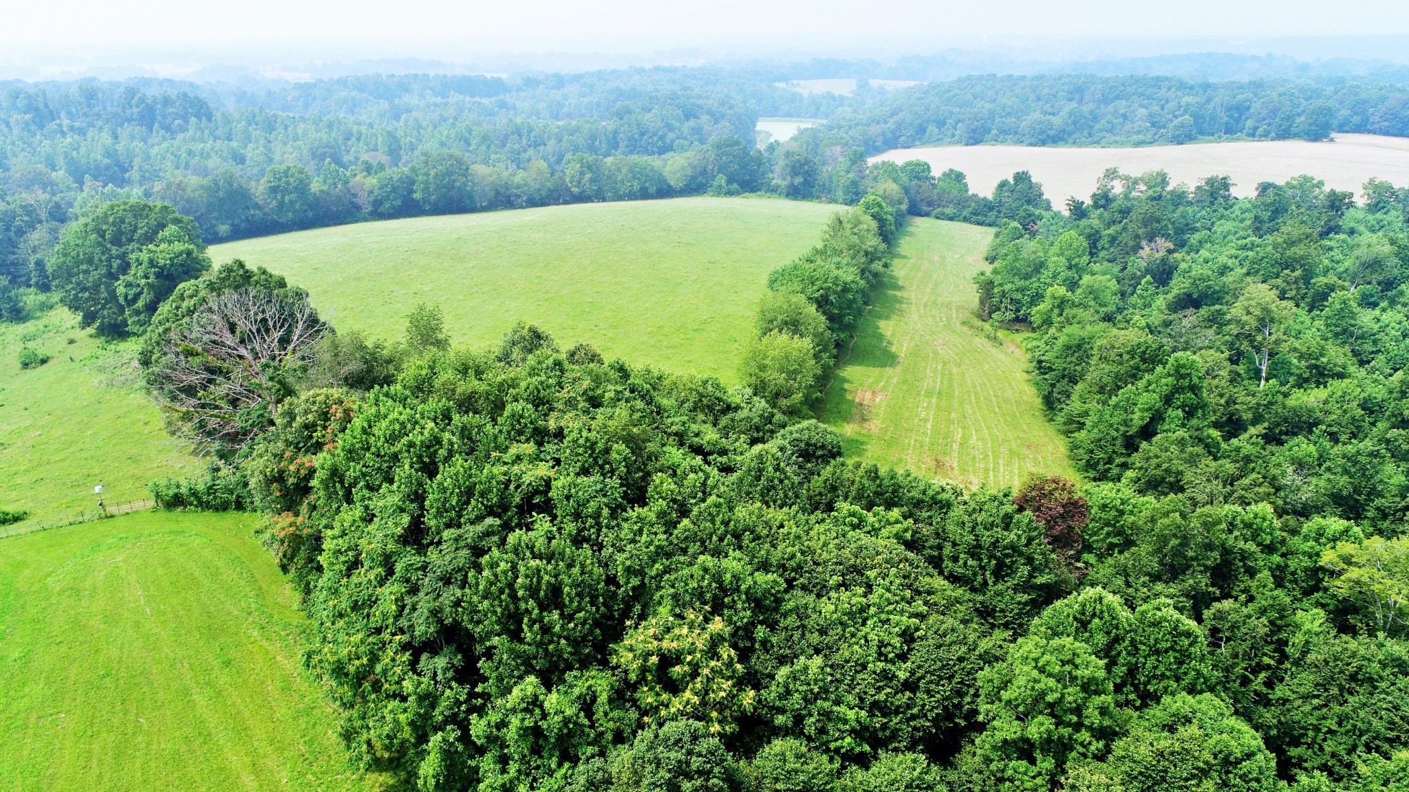 4 Celina Road Red Boiling Springs, TN 37150 - Photo 4 of 16 a view of a garden