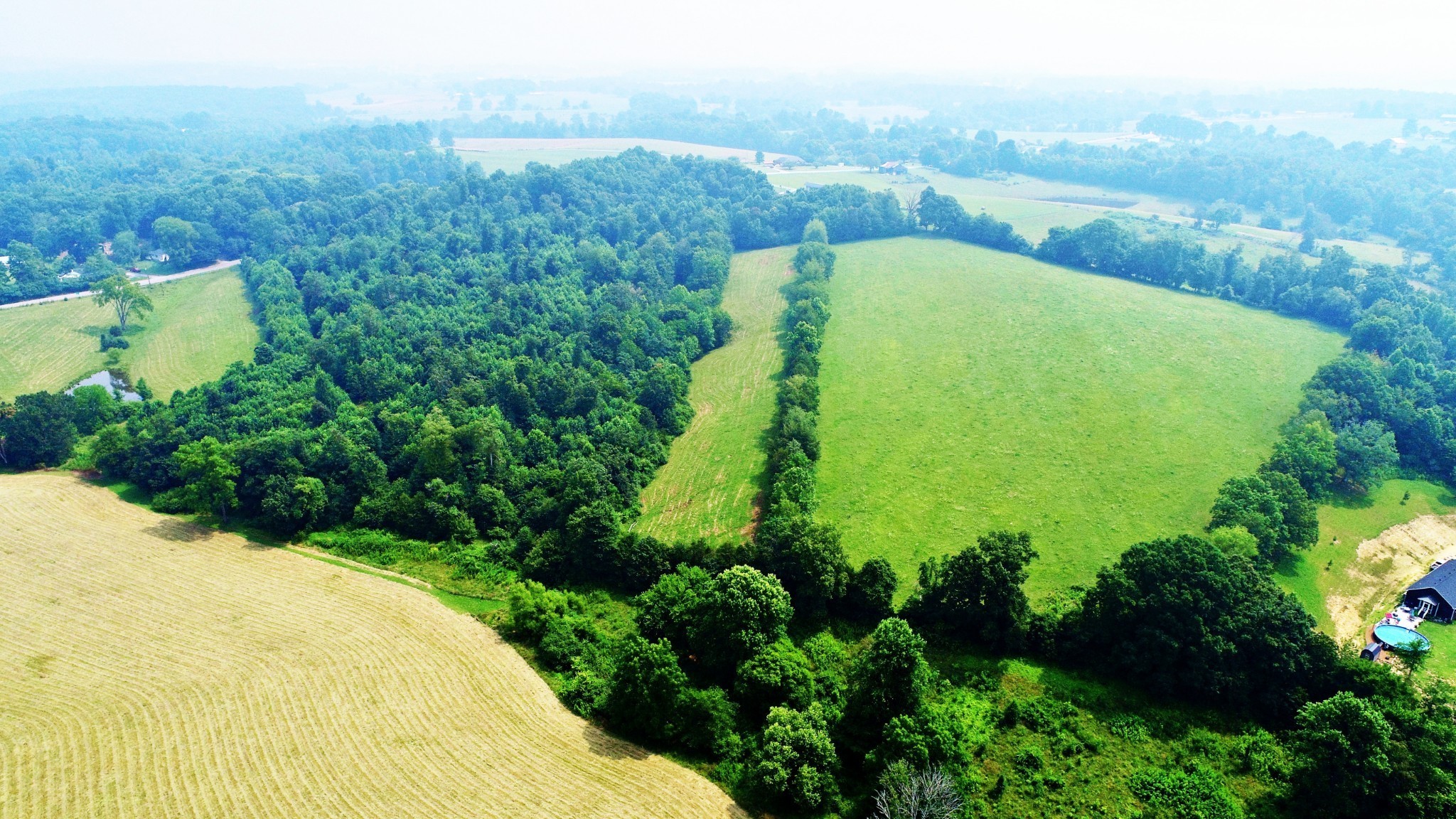 4 Celina Road Red Boiling Springs, TN 37150 - Photo 6 of 16 a view of a back yard