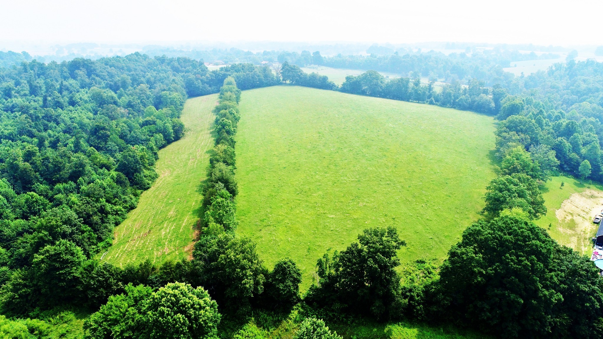 4 Celina Road Red Boiling Springs, TN 37150 - Photo 9 of 16 a view of a large garden with plants