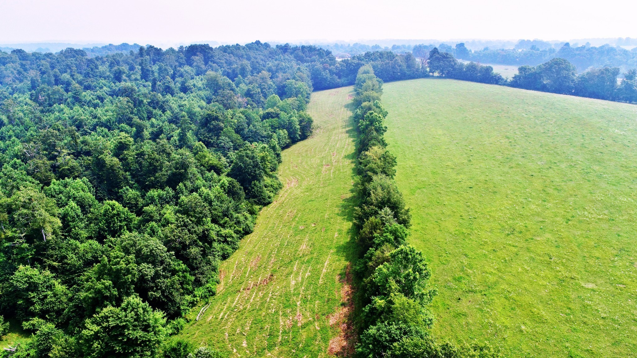 4 Celina Road Red Boiling Springs, TN 37150 - Photo 10 of 16 a view of a back yard with green space