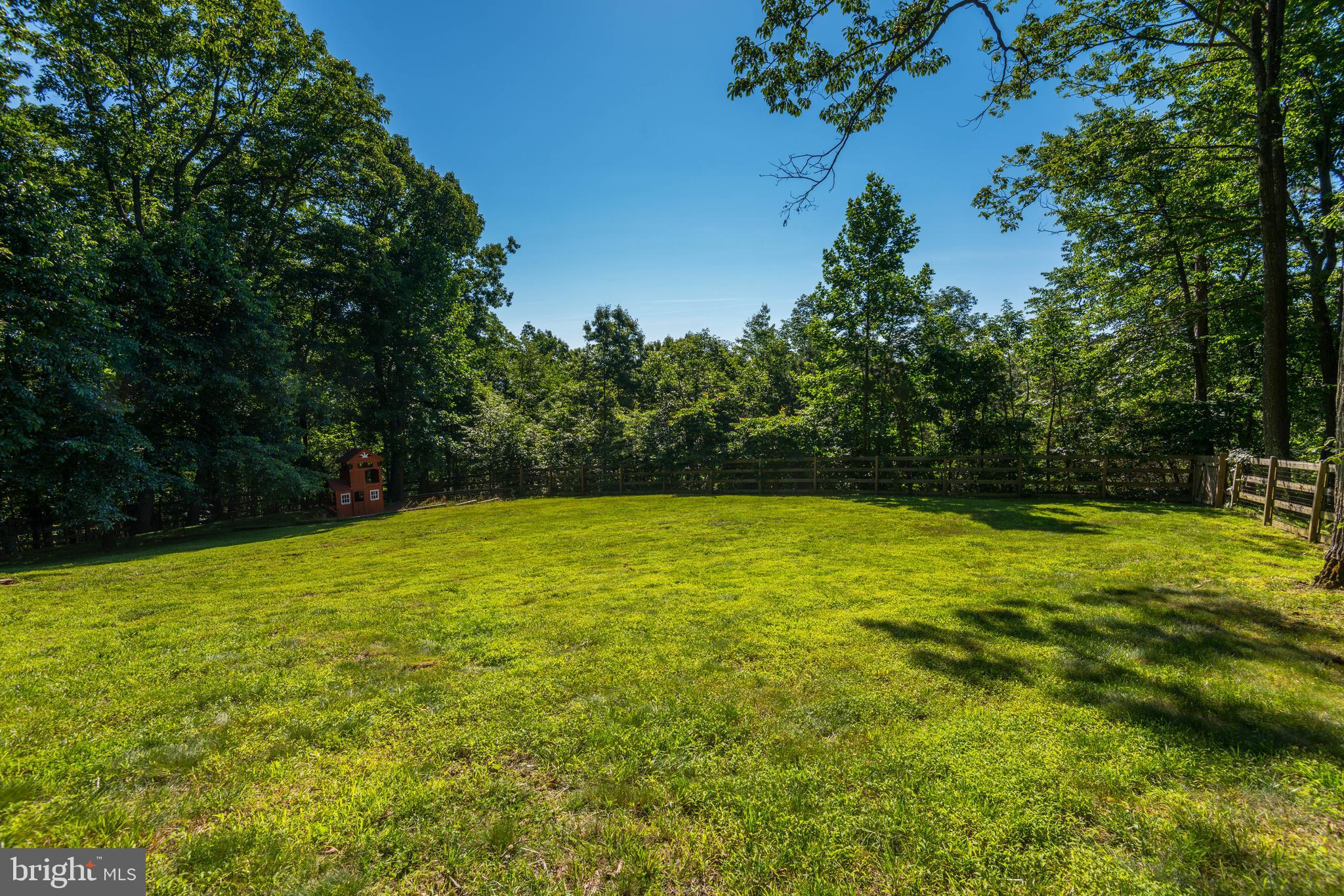 1619 Summit Drive Haymarket, VA 20169 - Photo 31 of 62 a view of a yard with a tree