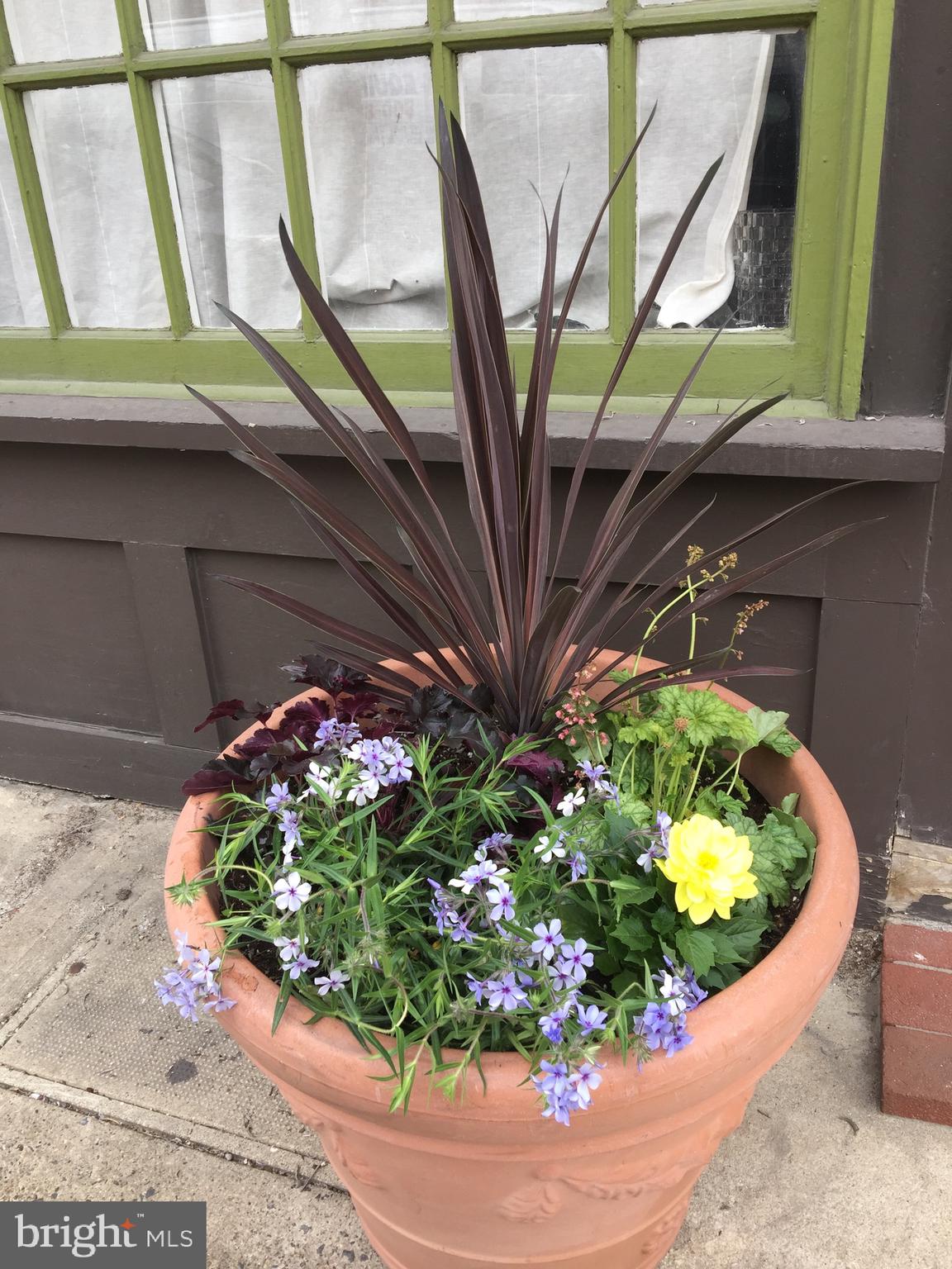 511 South 17th Street, Unit 1 Philadelphia, PA 19146 - Photo 14 of 15 a vase of flowers sitting on a floor