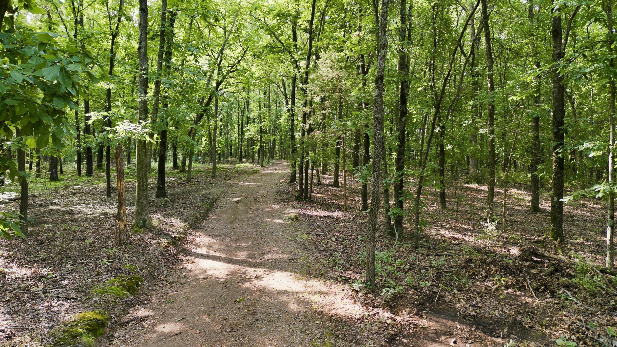 24709 Wolfe Road Washburn, MO 65772 - Photo 32 of 50 27_dji_0002