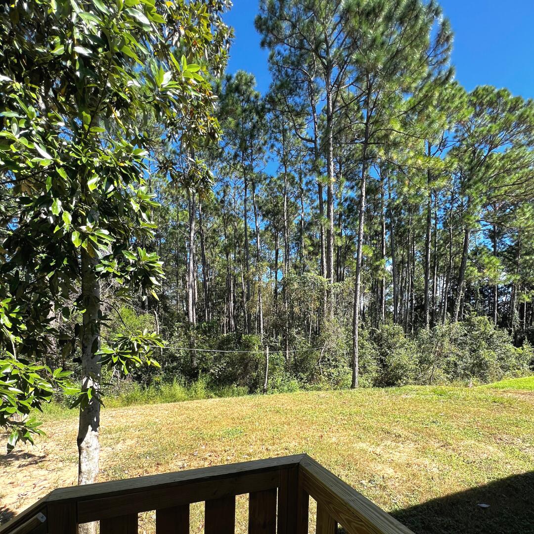 3126 Wells Beach Road Navarre, FL 32566 - Photo 24 of 30 Backyard
