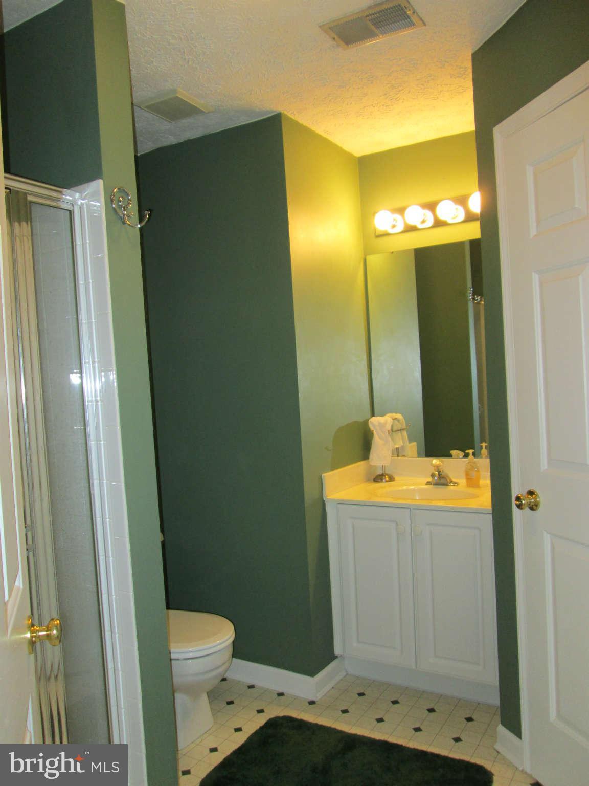 8263 Poplar Mill Road, Unit 8263 Baltimore, MD 21236 - Photo 16 of 20 hall bathroom