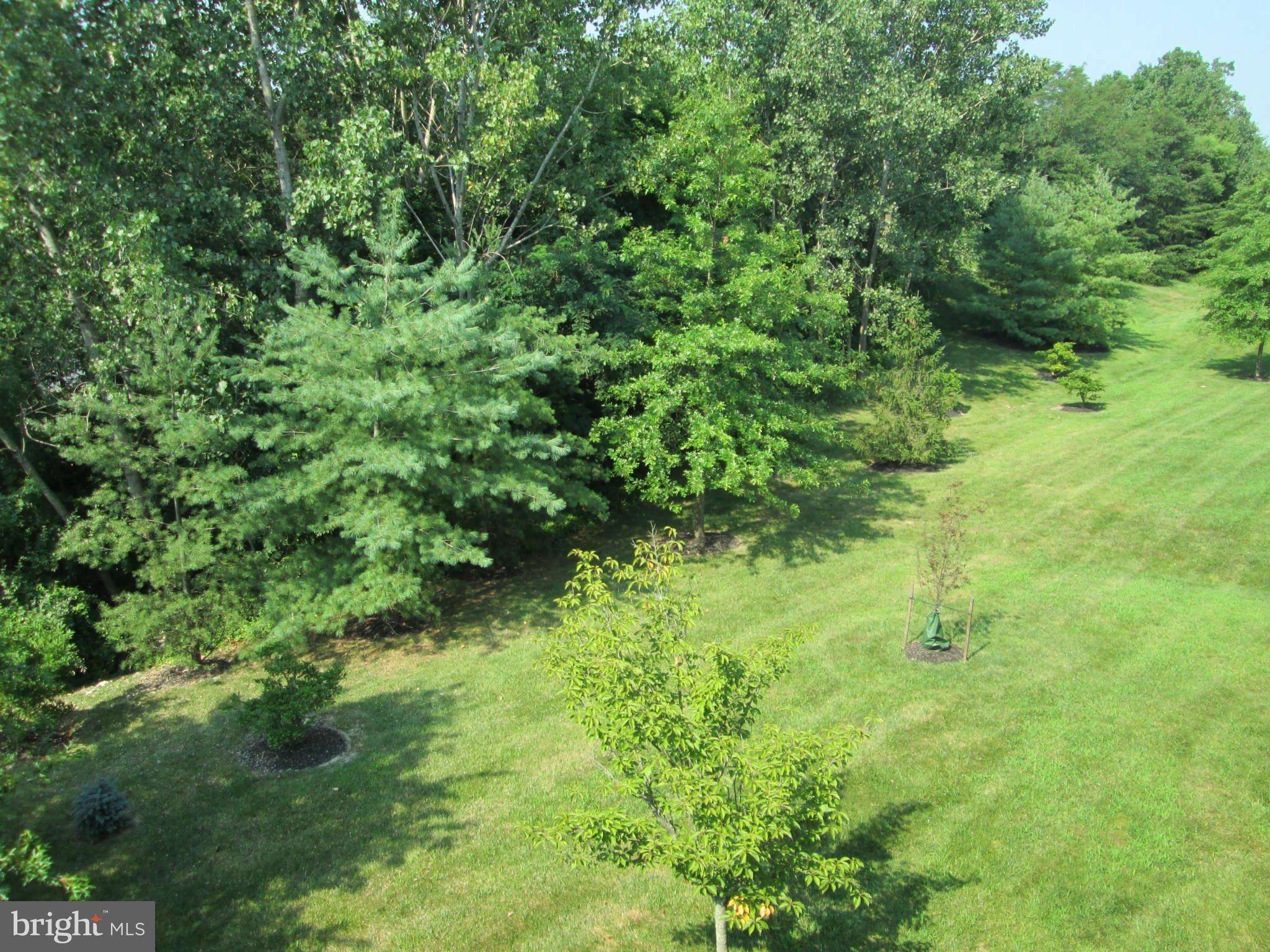 8263 Poplar Mill Road, Unit 8263 Baltimore, MD 21236 - Photo 19 of 20 View from balcony