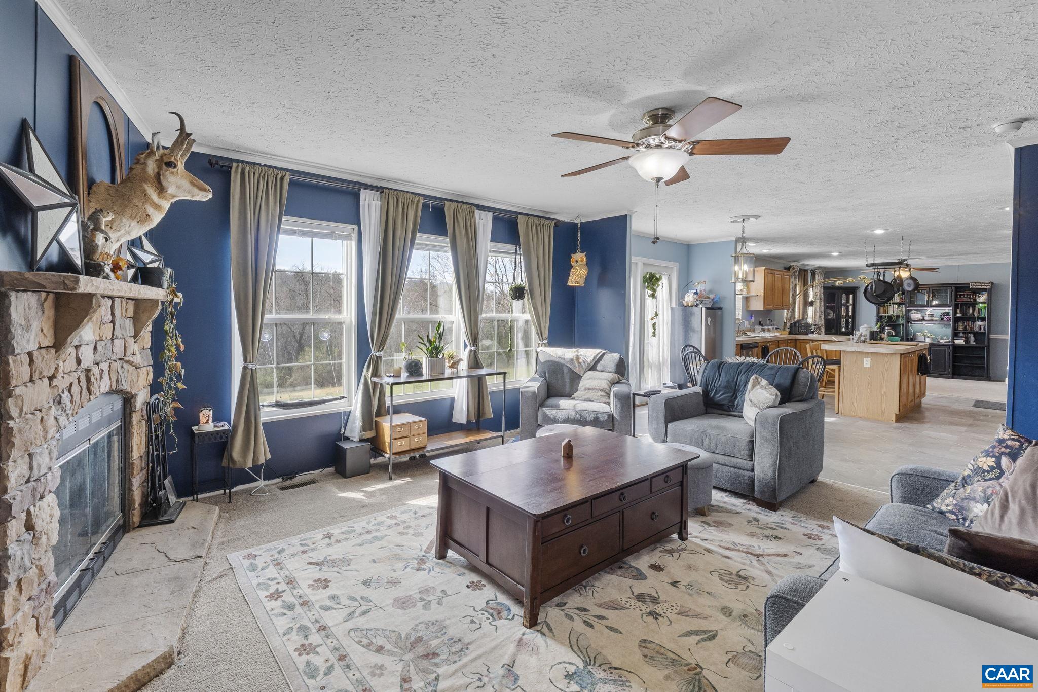 1173 Aylor Road Madison, VA 22727 - Photo 16 of 44 a living room with furniture and a fireplace