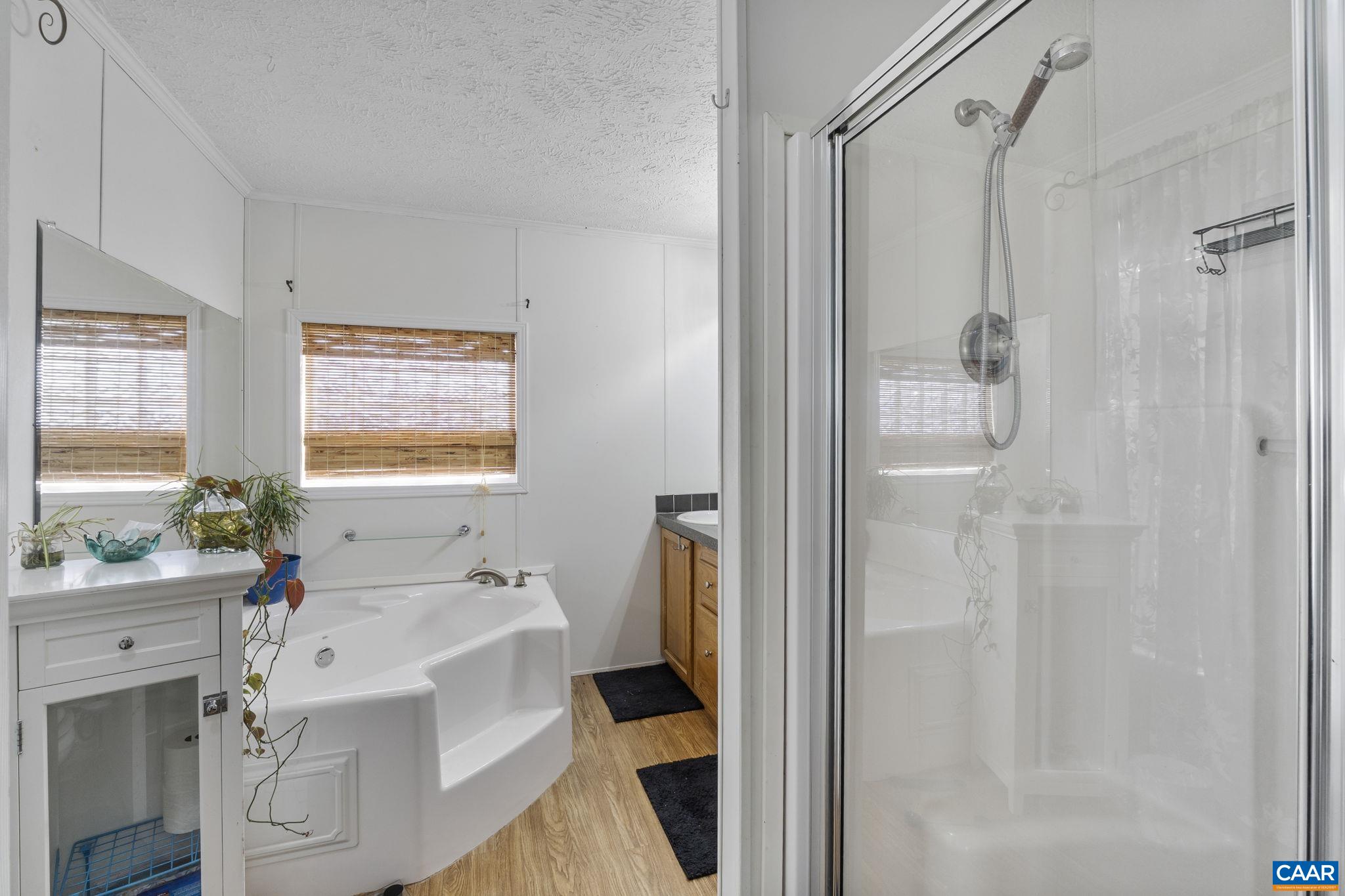 1173 Aylor Road Madison, VA 22727 - Photo 23 of 44 a bathroom with a tub sink shower and a mirror