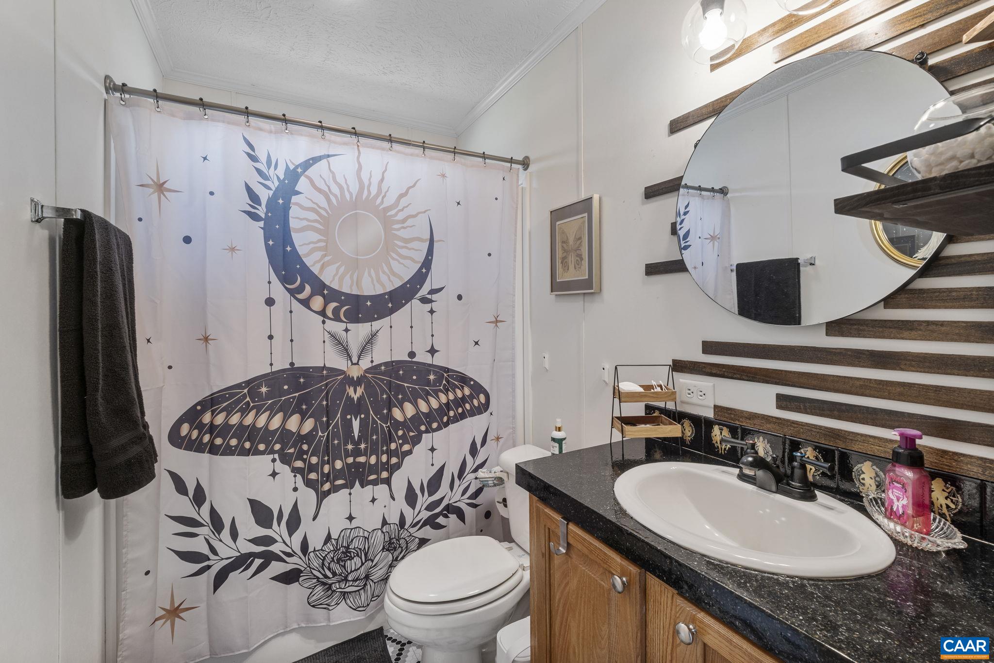 1173 Aylor Road Madison, VA 22727 - Photo 25 of 44 a bathroom with a granite countertop toilet sink and mirror
