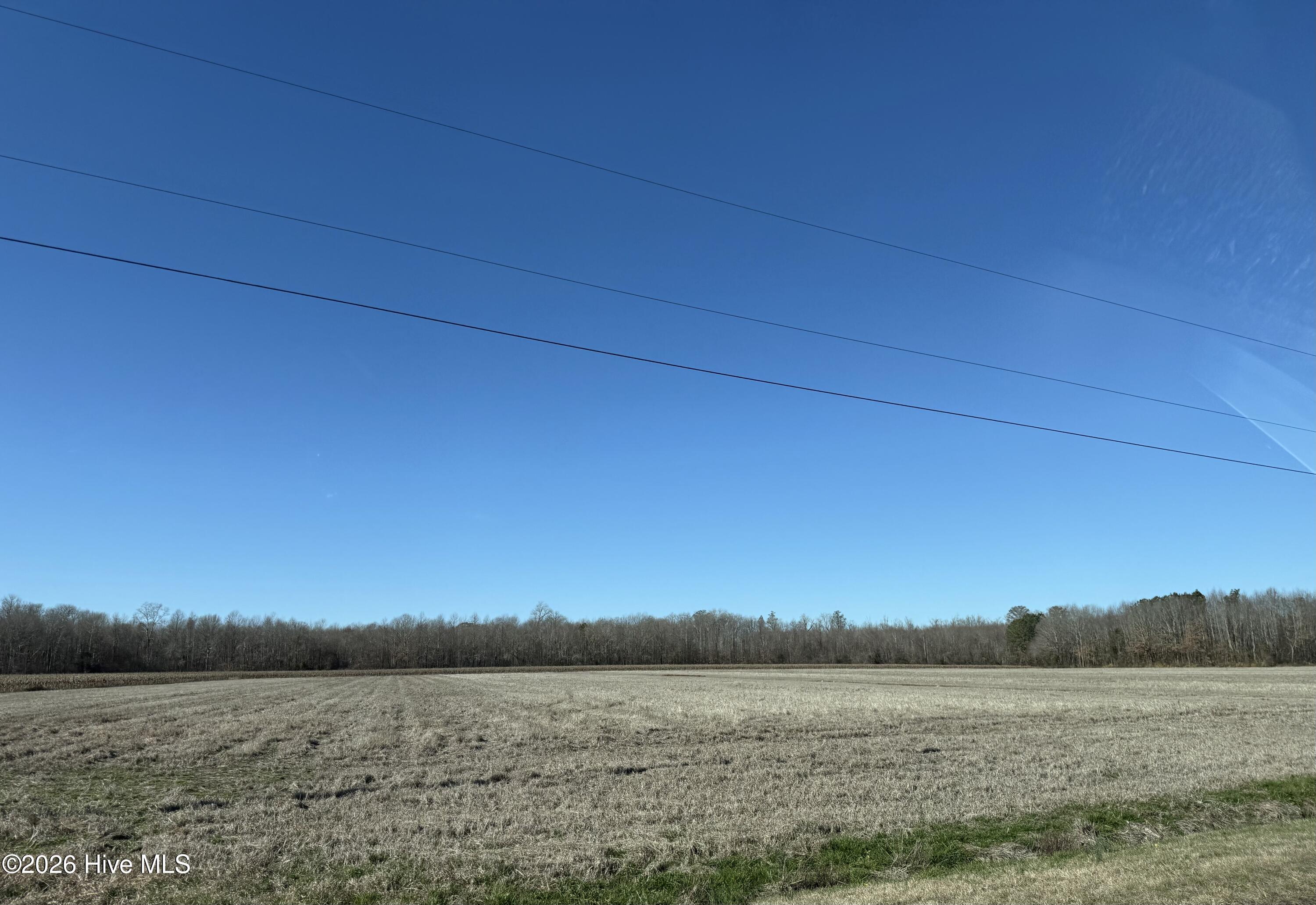 Lot 26 Beasley Road Roper, NC 27970 - Photo 2 of 2 IMG_7073