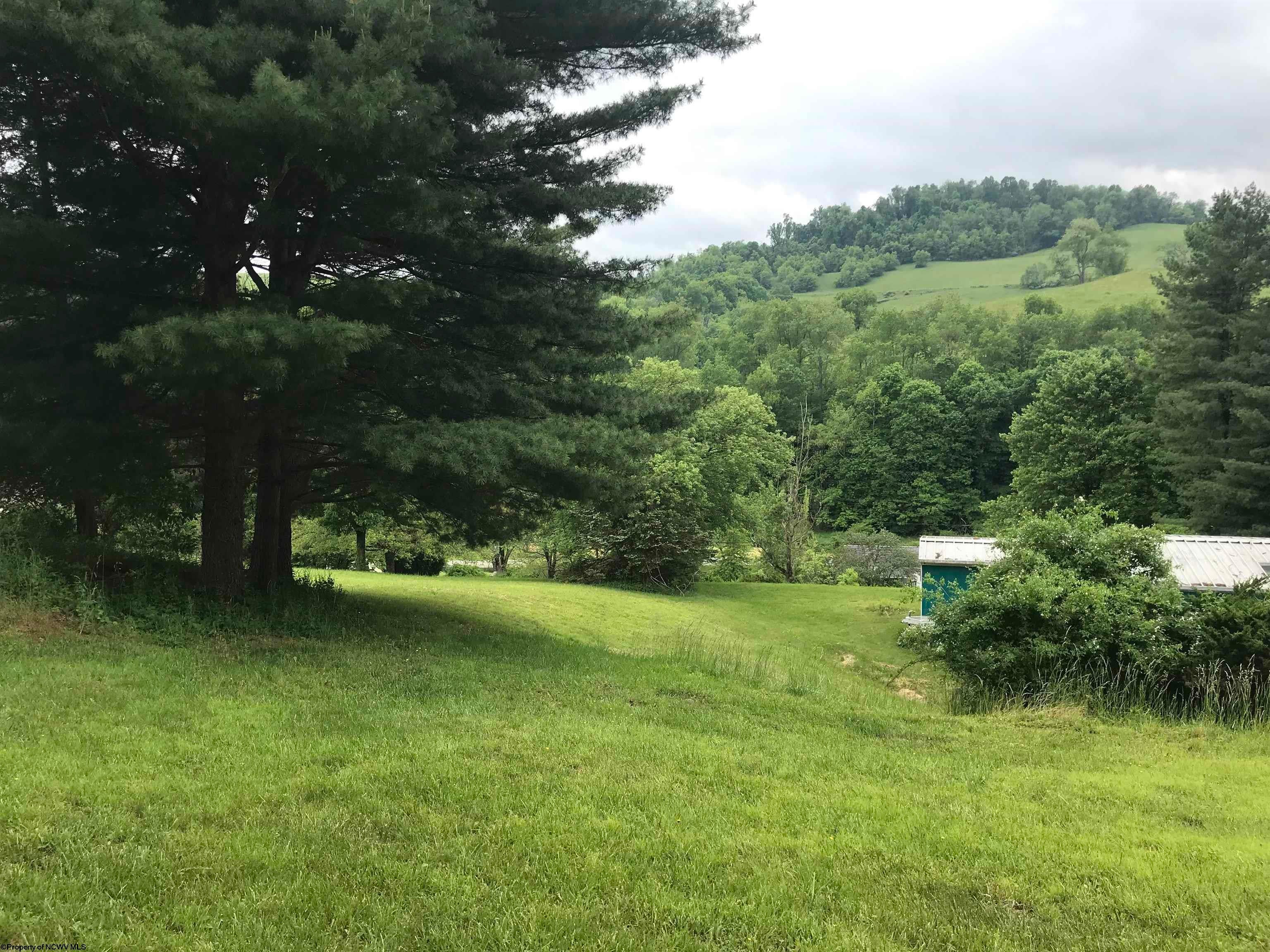 45 Robinson Run Road Maidsville, WV 26541 - Photo 12 of 17 Gallery Image 12