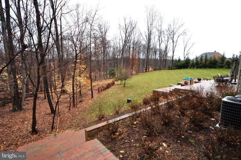 11272 Waples Mill Road Oakton, VA 22124 - Photo 5 of 28 Back yard