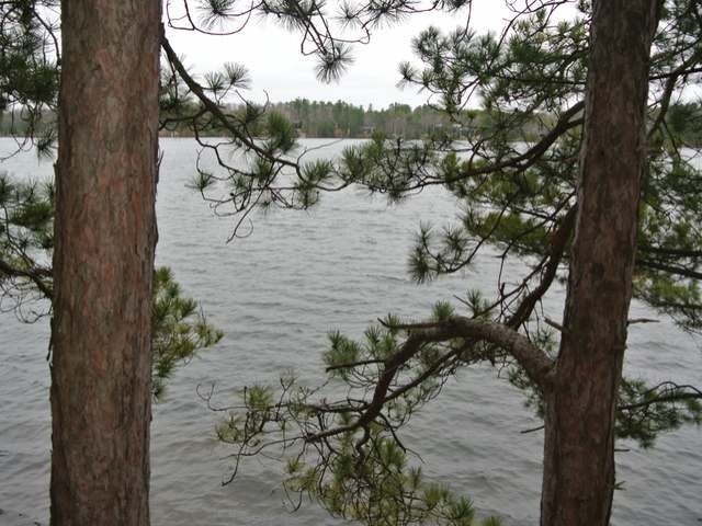Lot 2 Big Ripley Island Minocqua, WI 54548 - Photo 5 of 19 Gallery Image 5