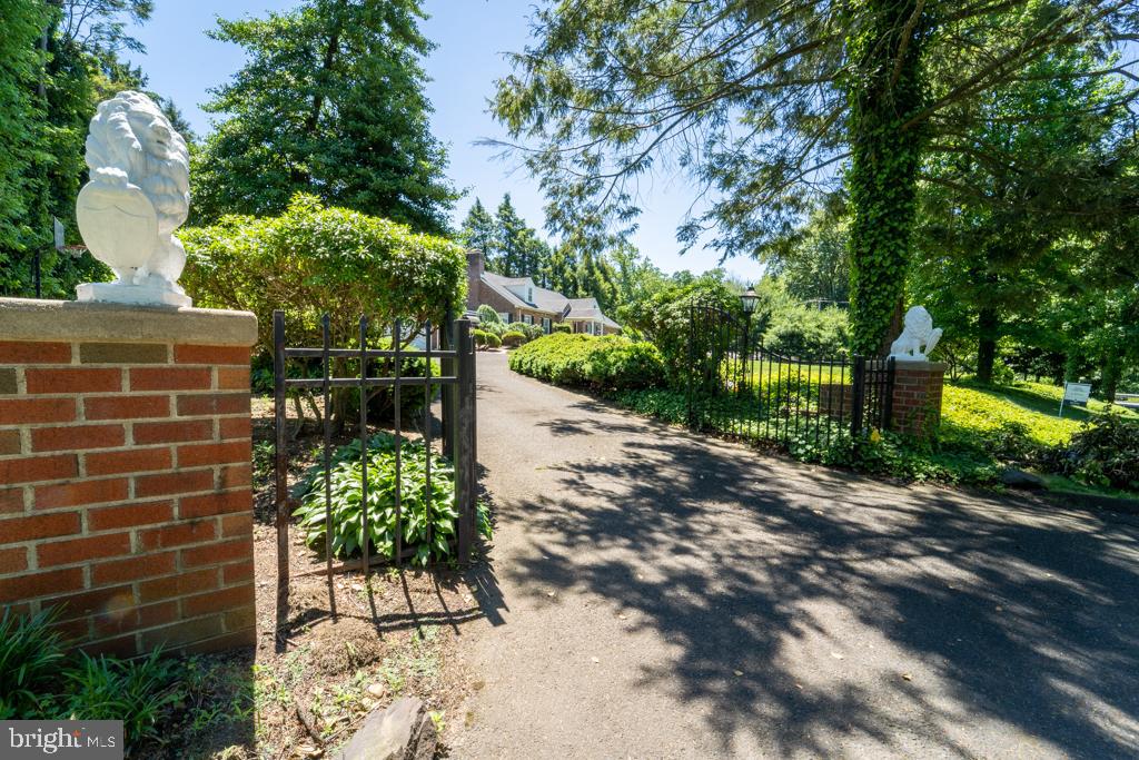 1409 Hampton Road Rydal, PA 19046 - Photo 5 of 50 a view of a pathway with plants and large trees