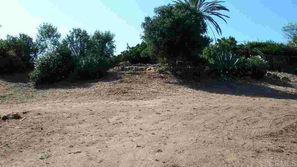 Gallery Image 7